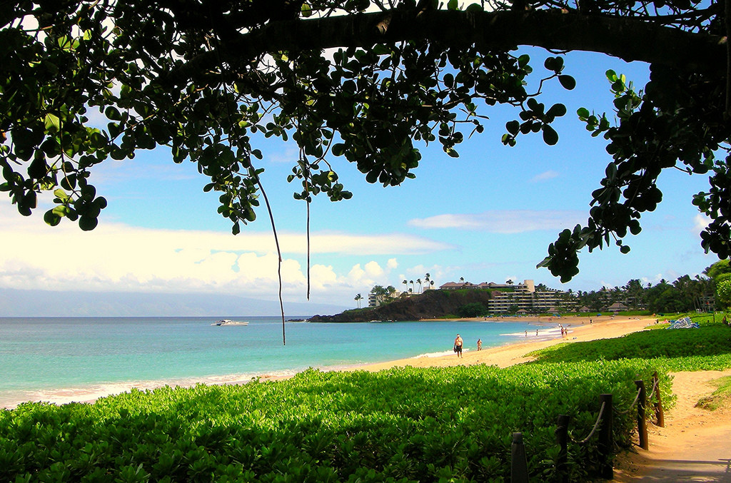 Kaanapali Beach, Maui, 02/2015, taken by Diann Corbett