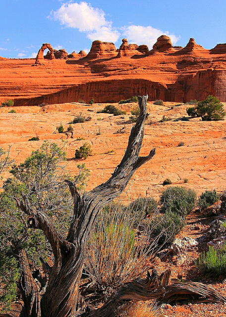 The Delicate Arch, Arches National Park, Utah - Taken by Diann Corbett, 05/2013.