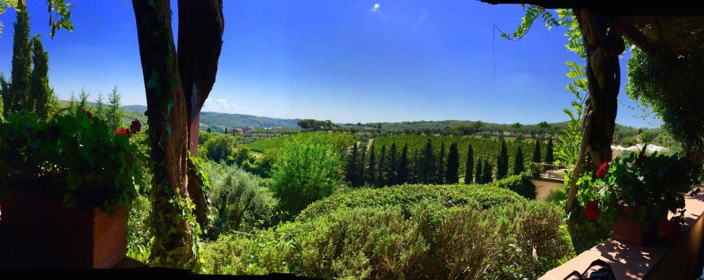 View from the Vignale, Radda di Chianti - Taken by Diann Corbett, 09/2015.