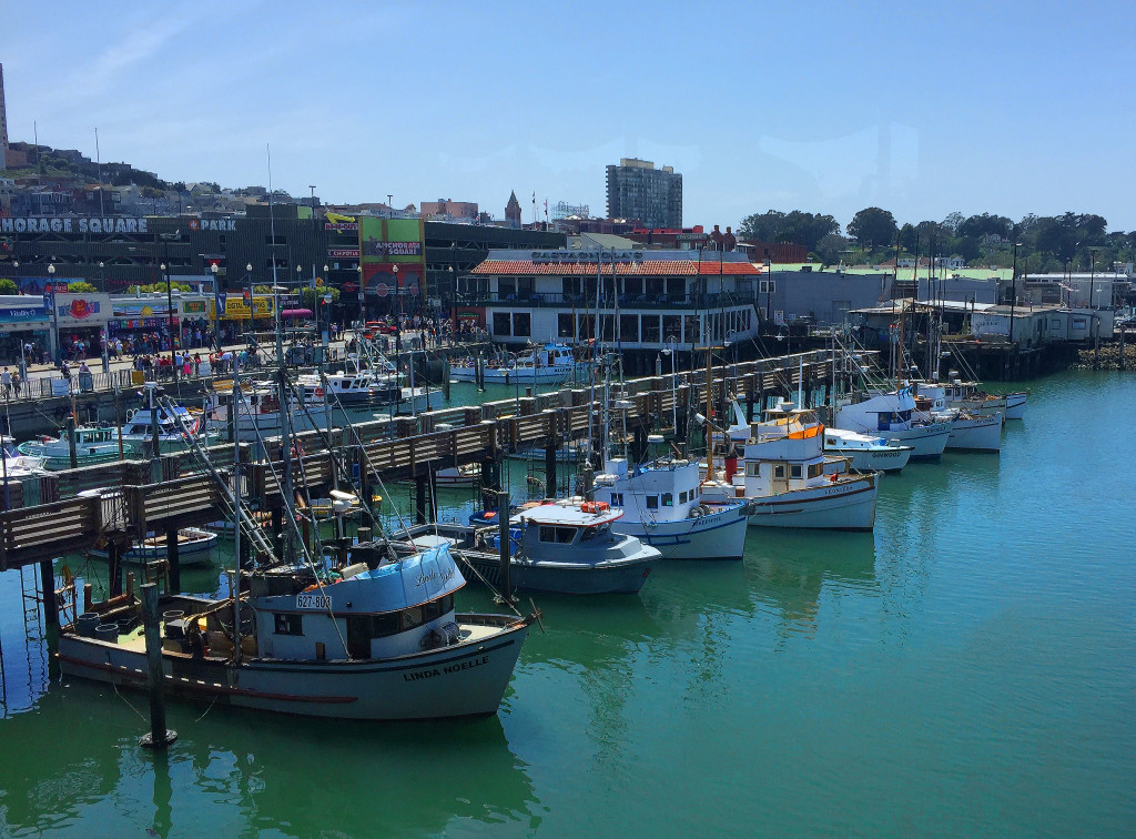 View from Alioto's, Fisherman's Wharf, San Francisco