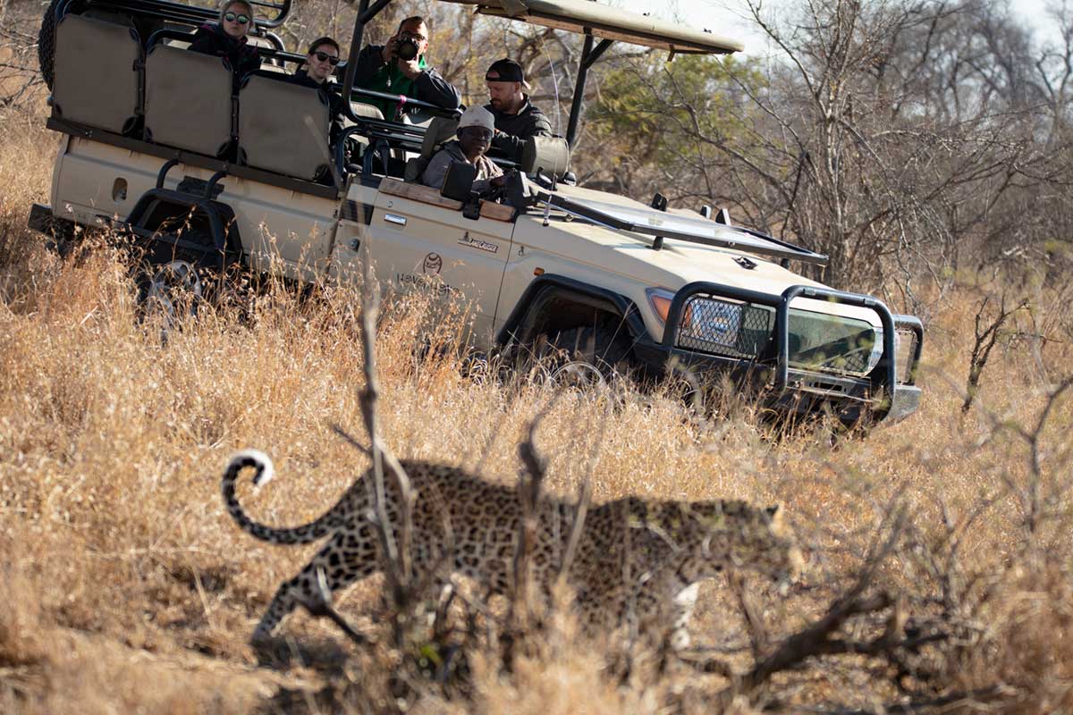 Going on Safari in Africa