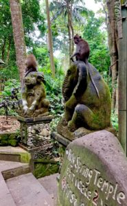 Monkeys at the Sacred Monkey Forest, Ubud, Bali
