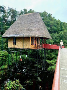 Over-Water Bungalow, Napo Wildlife Center, Amazon Rainforest